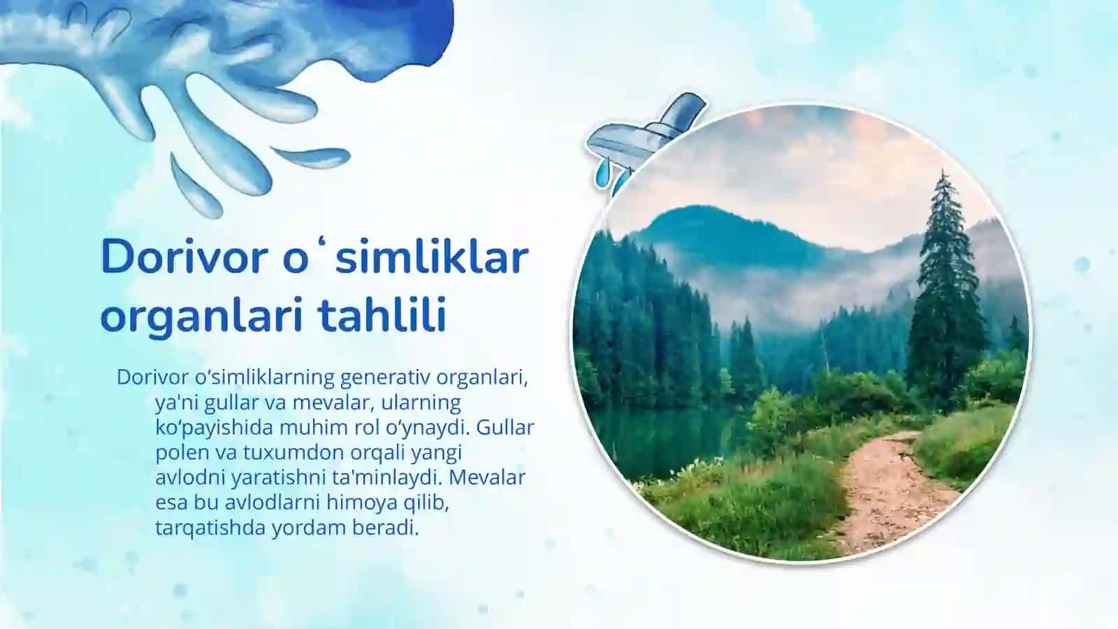 Manzarali dorivor oʻsimliklar turlari 4