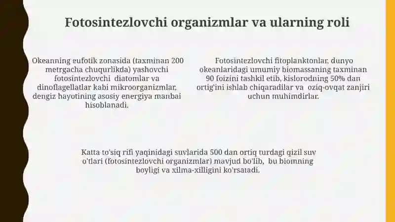 Dunyo okeani biomlari 4