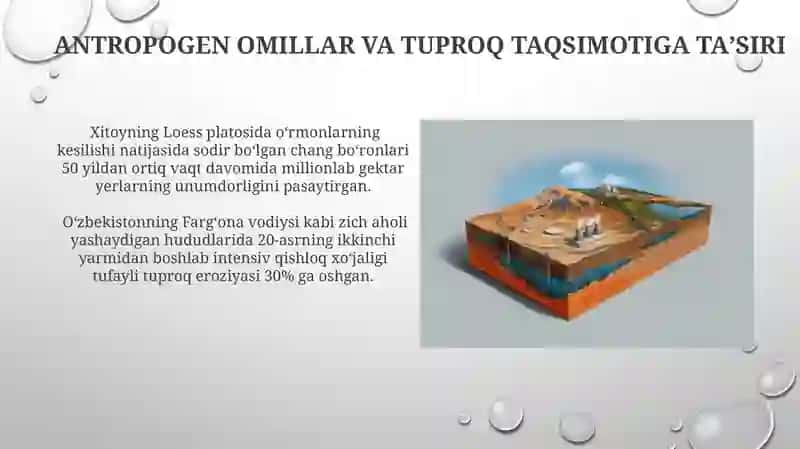 Tuproqlar geografik tarqalishining asosiy qonuniyatlari 4