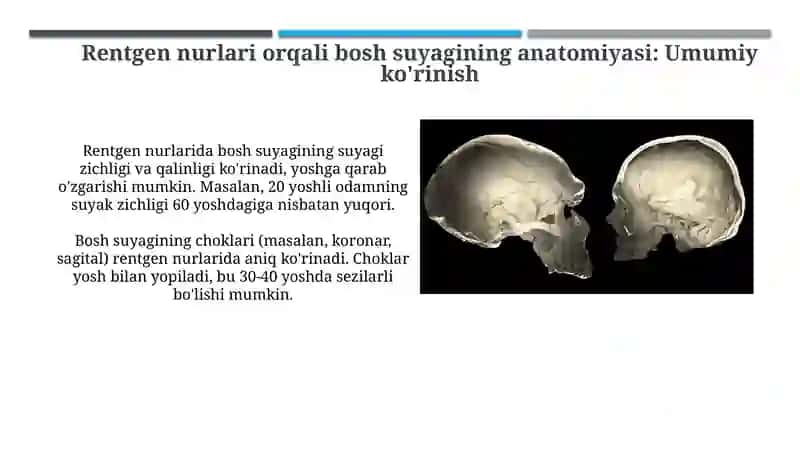 Kallasuyaklarining rentgenatomiyasi 4