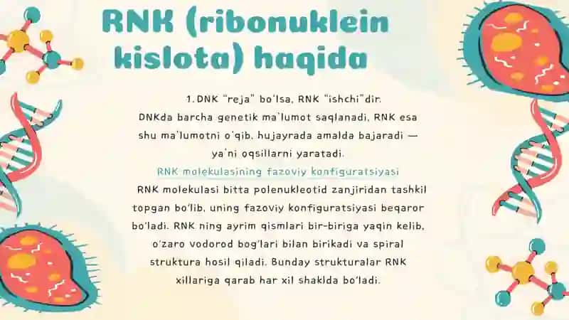 RNK 4