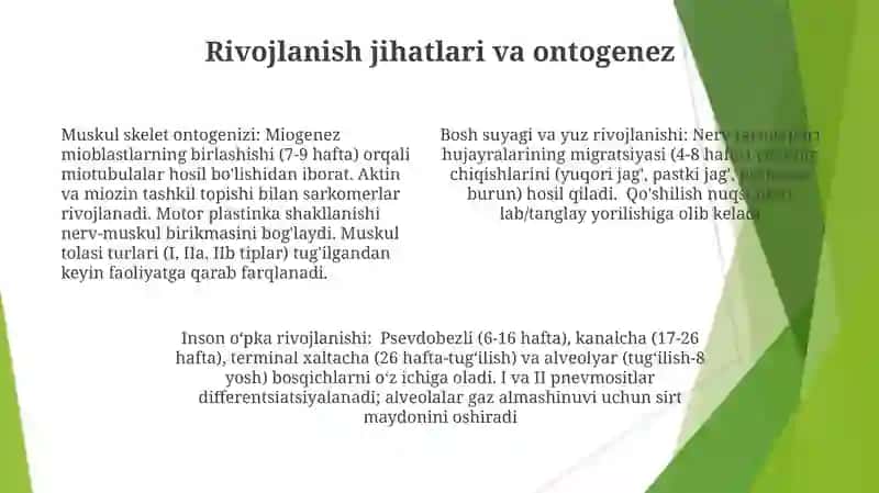 Tam bilish azosining morfofunksional tasnifi 4