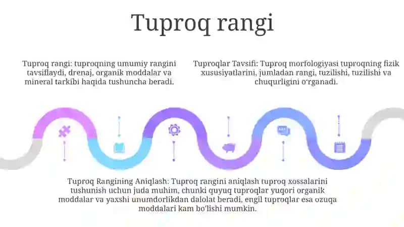 Tuproqlar Tavsifi 4