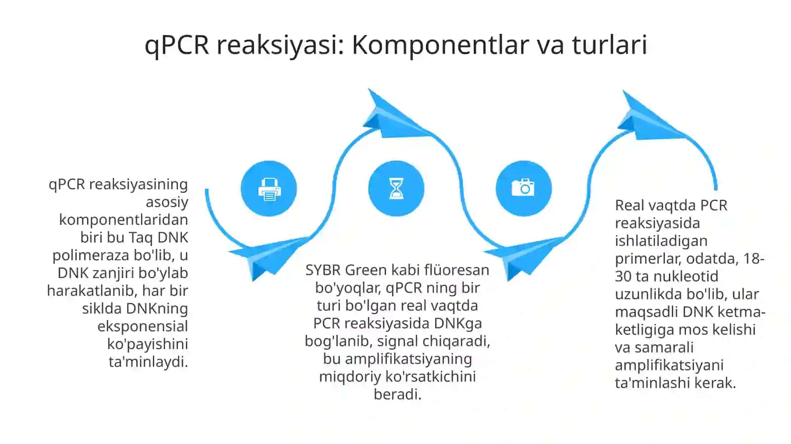 Real time PCR 4
