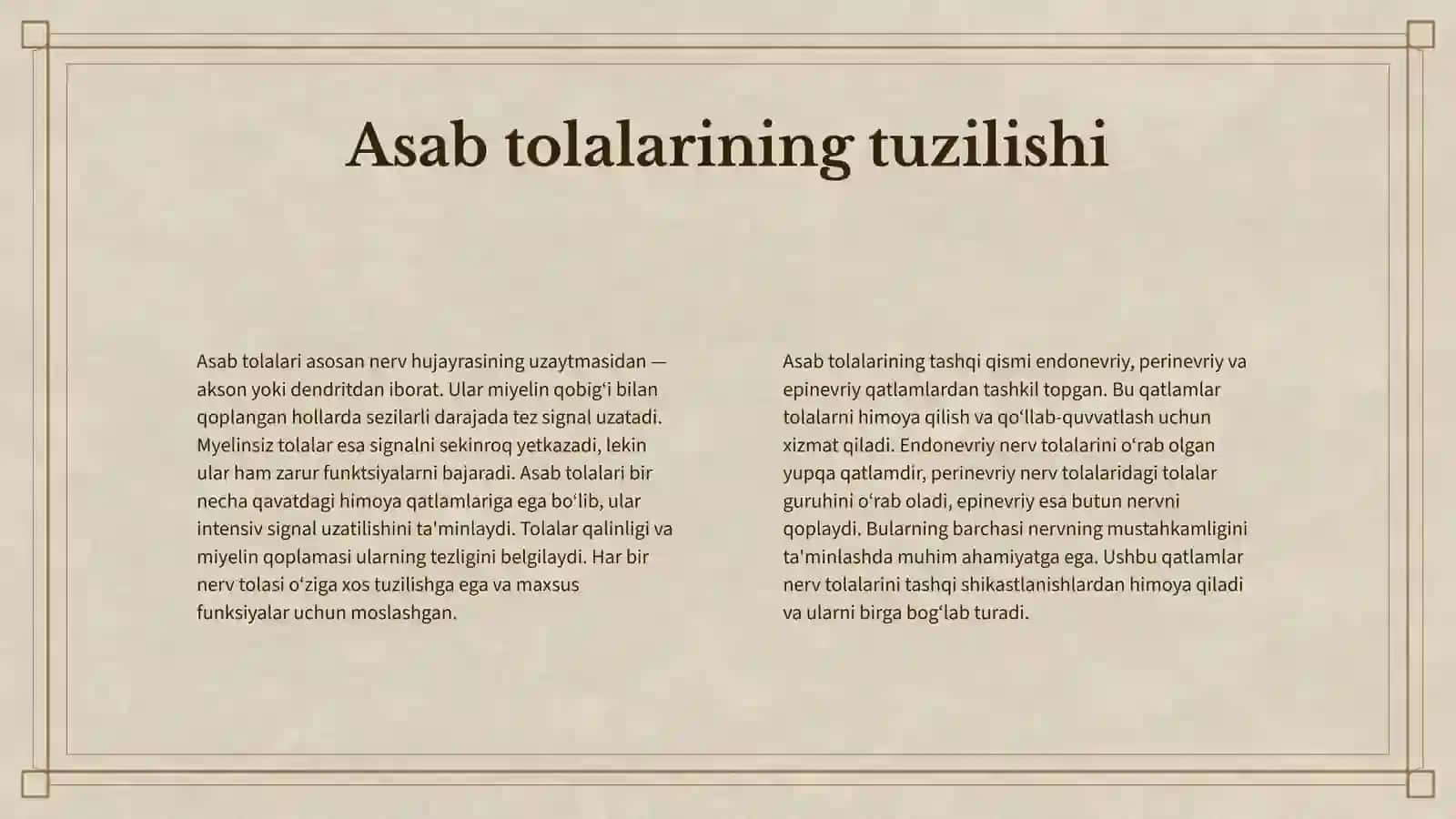 NERV TIZIMINI TUZILISHI 4