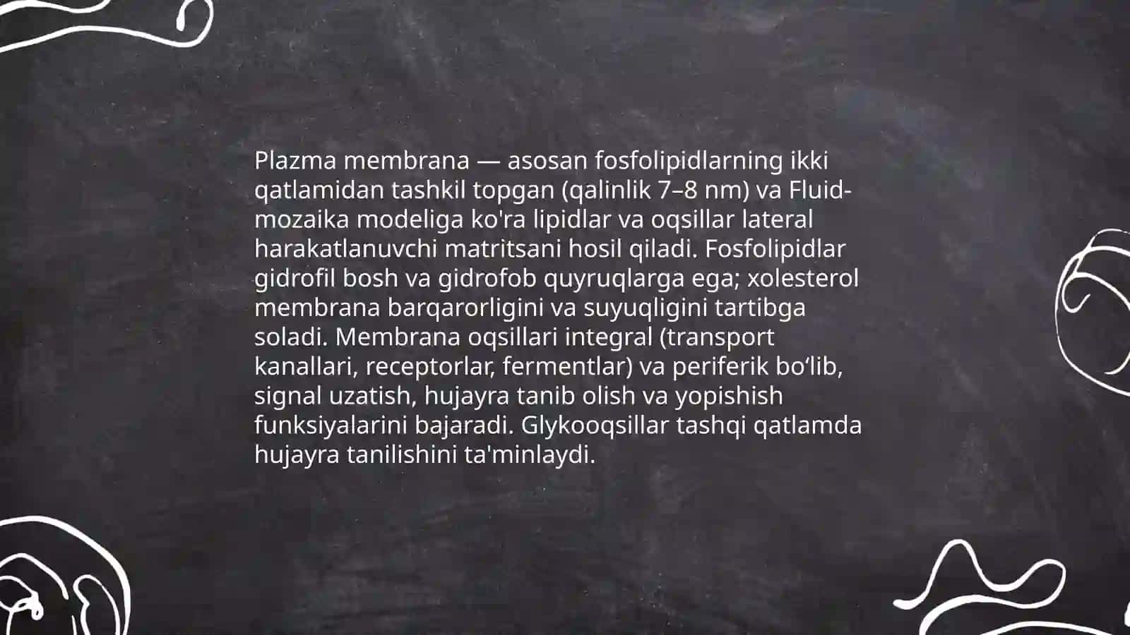 Hujayra tuzilishi 4