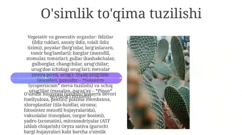 O'simliklarning hujayra va toqimasining tuzilishi vegetativ va generetiv organlar tuzilishi 4