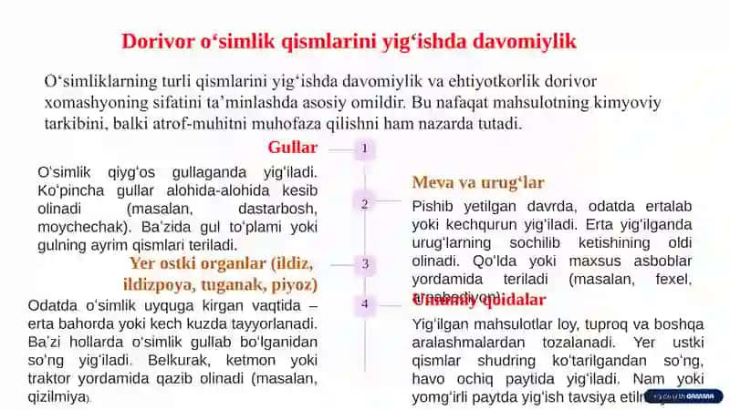 Dorivor o'simliklarning mahsulotlarini tayyorlash 4