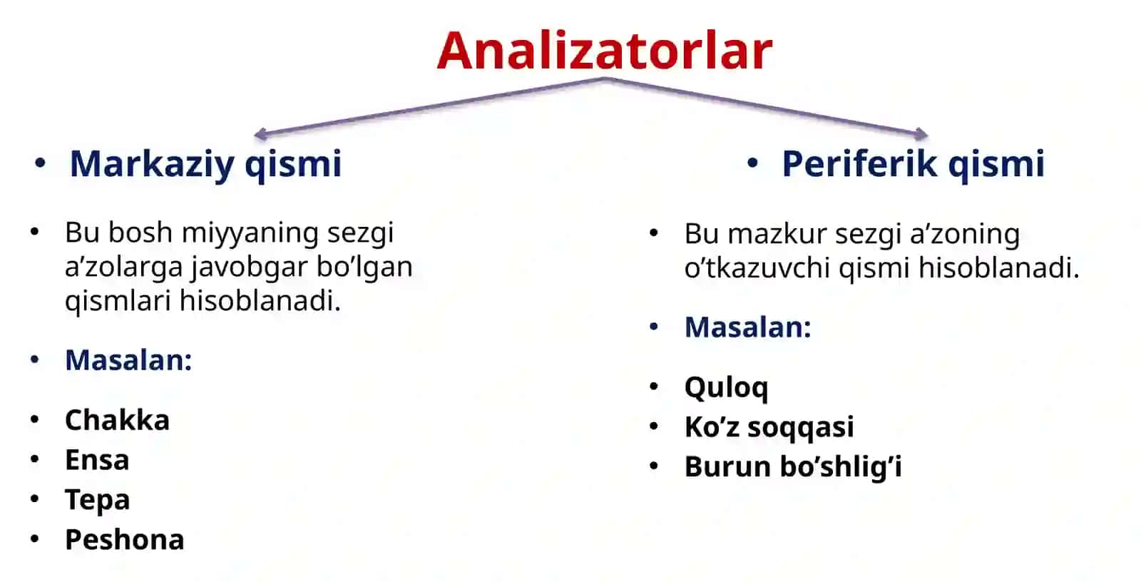 KO’RISH VA ESHITISH ANALIZATORI 4
