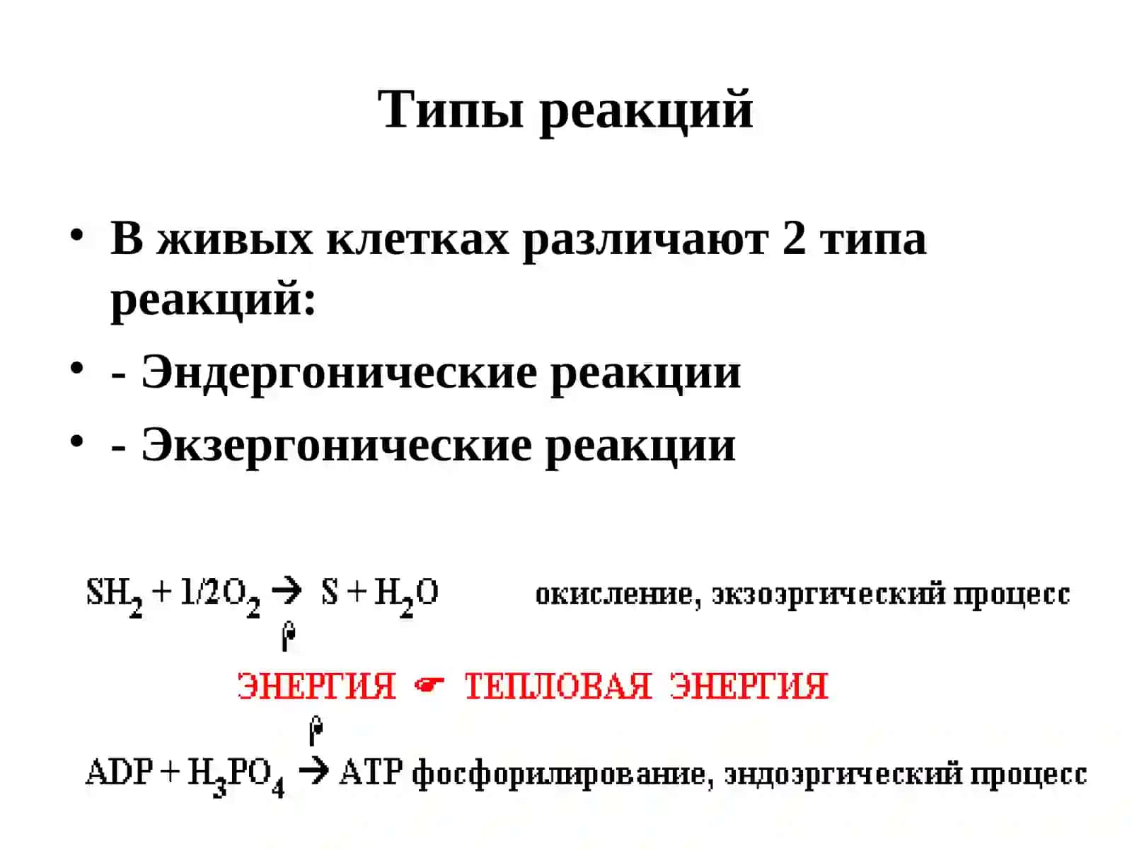 Биологическое окисление 4