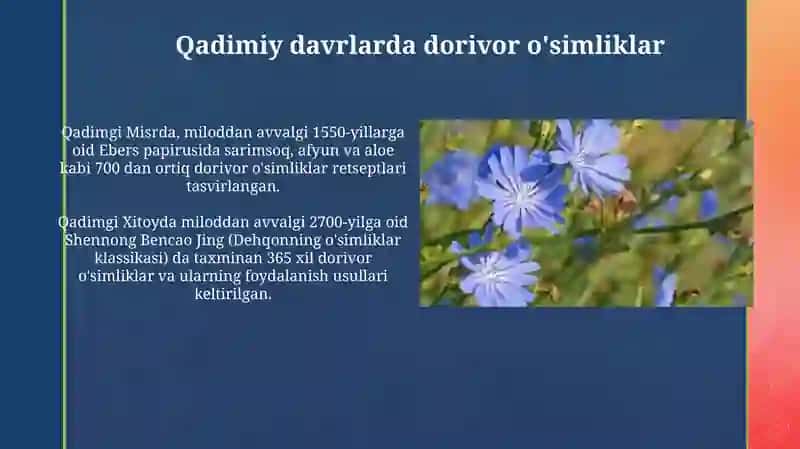 Retsept tarixi. Dorivor o'simliklar 4