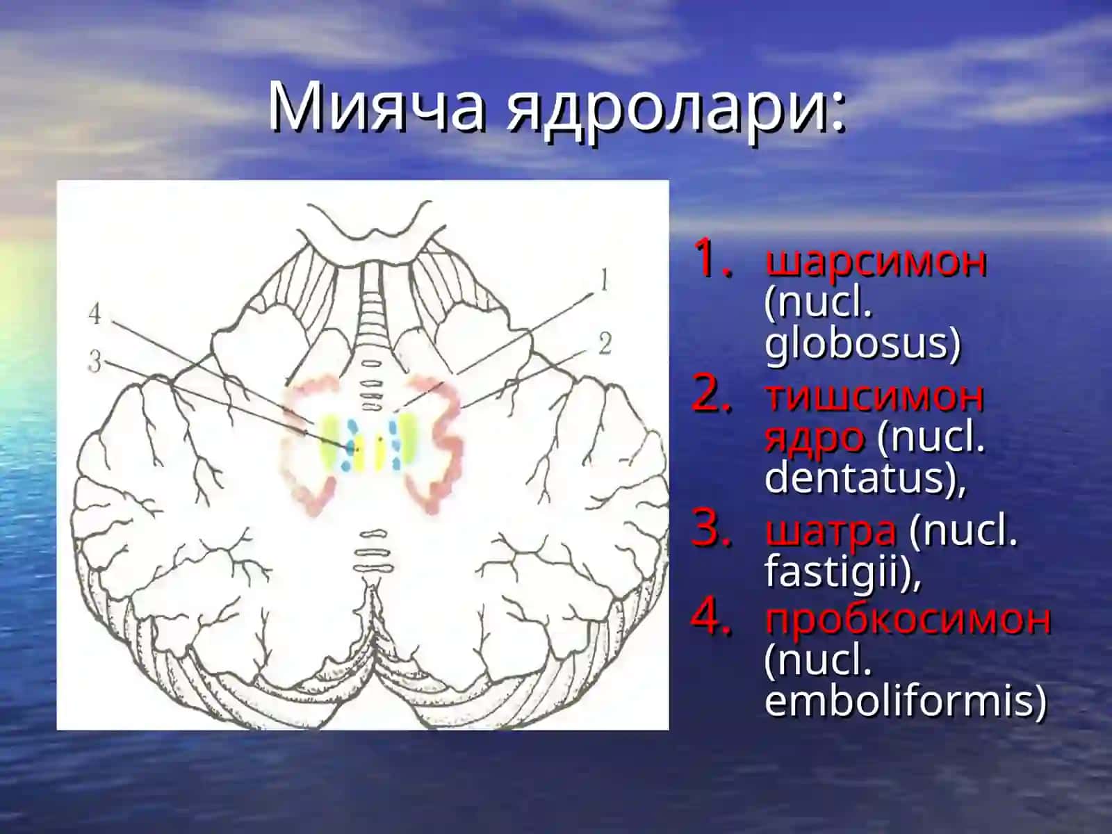 Мияча 4