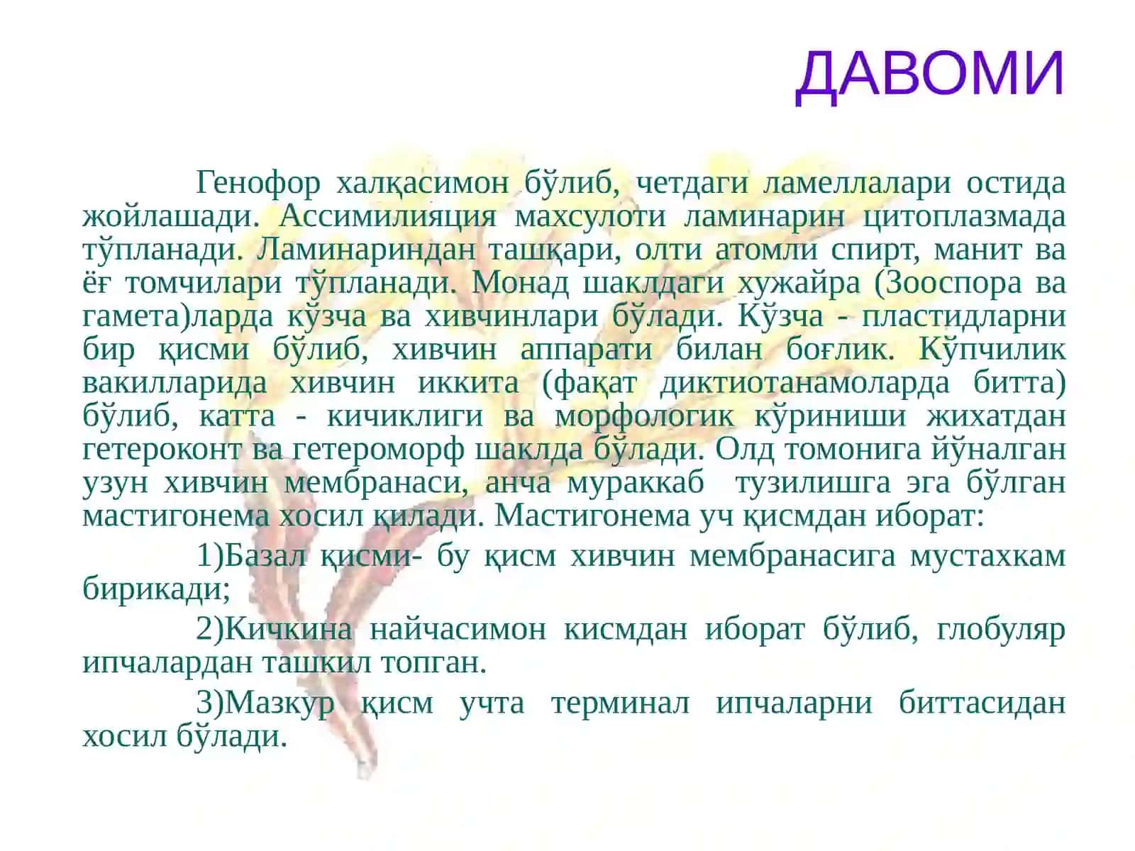 Қўнғир сувўтлари бўлими-Phaeophyta 4