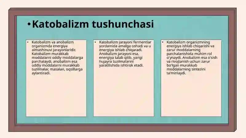 Katobalizm va anobalizm 4