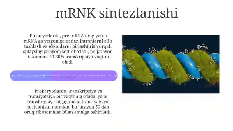Oqsil biosintezining regulyatsiyasi 4
