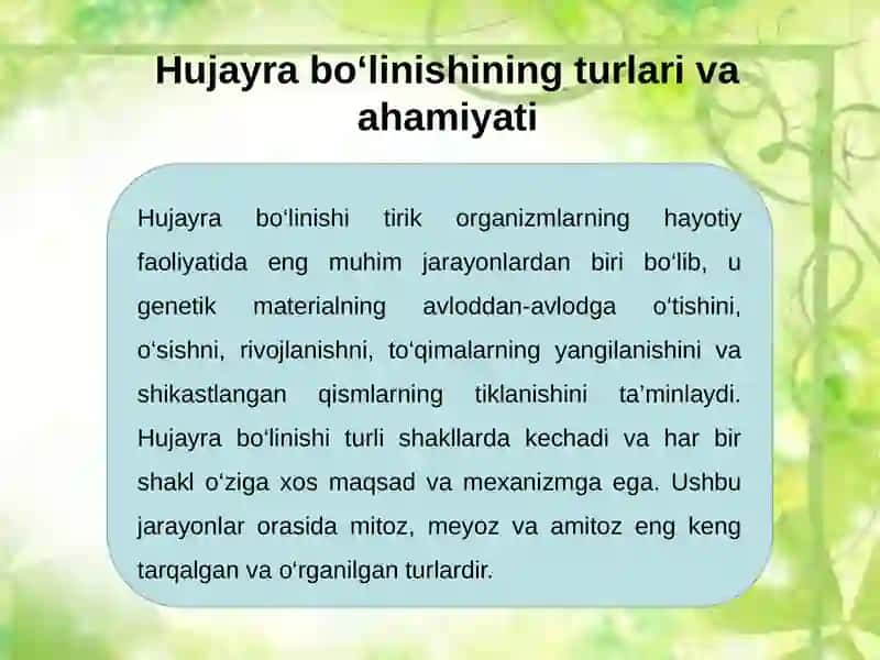 Hujayralarning Bo‘linish Turlari 4