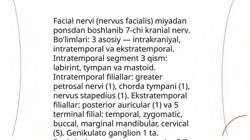 Nervus facialis yuz nervi 4