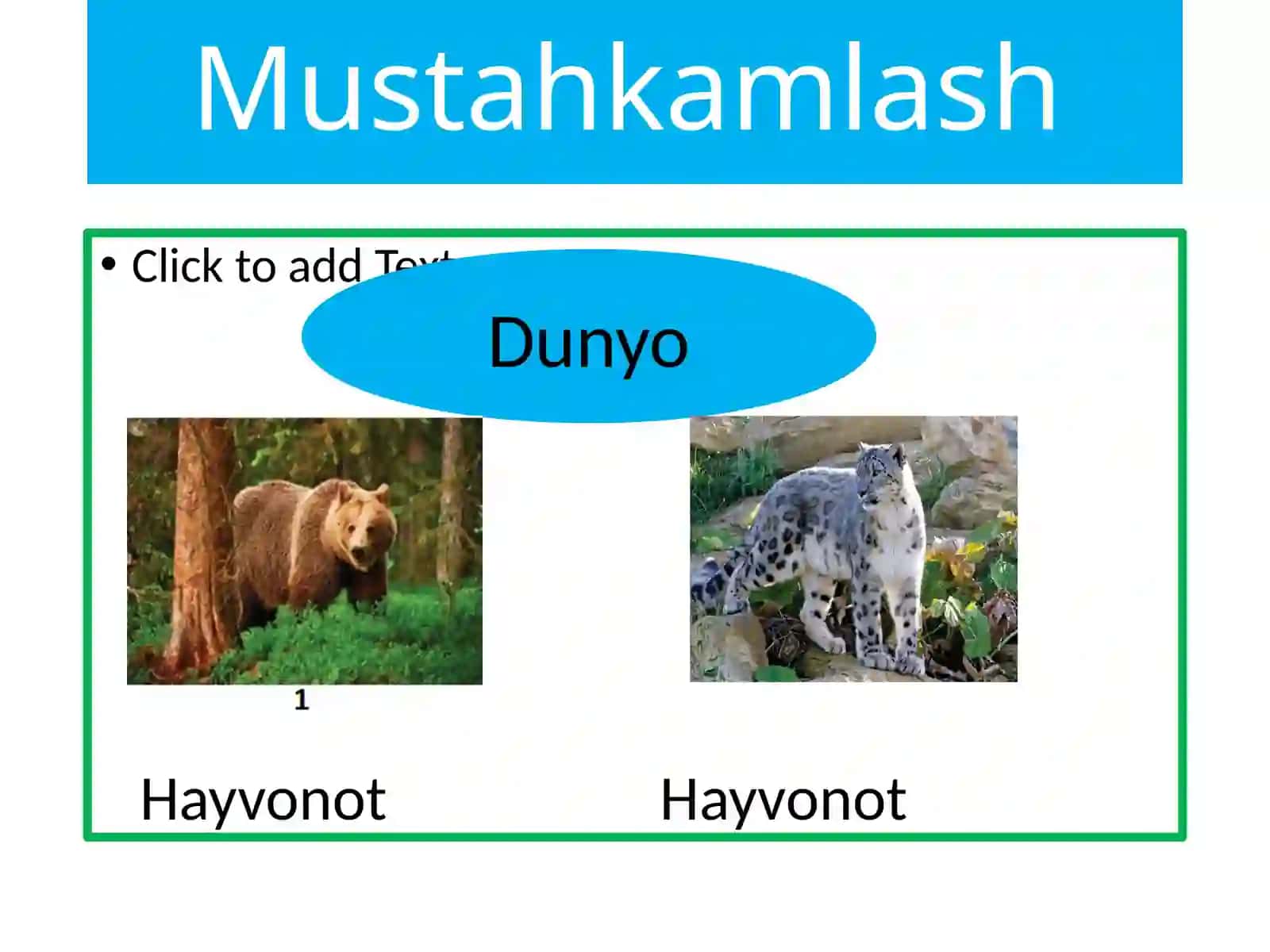 Umurtqasiz hayvonlar 4