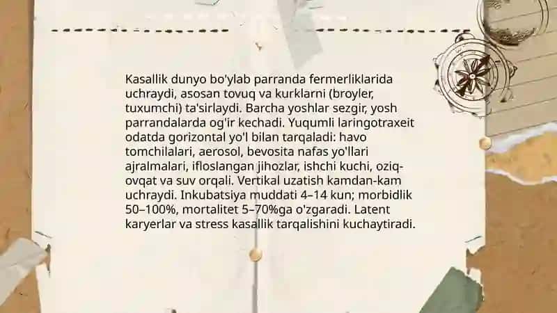 Parrandalarda yuqumli laringotraxeit 4