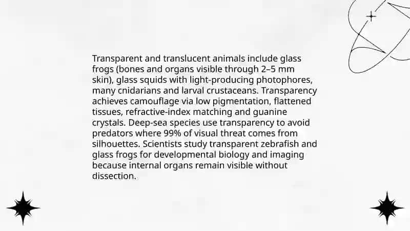 Bioluminescent deep-sea animals 4