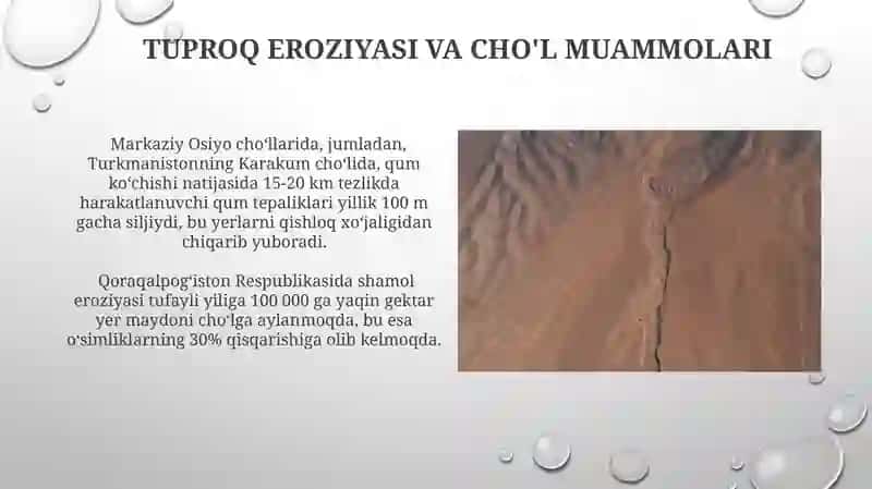 Cho'l Tuproqlari 4