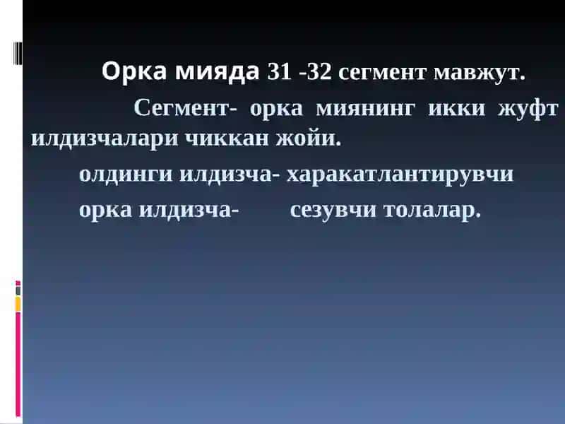 Периферик нерв системаси 4