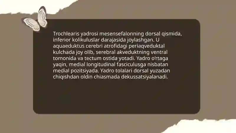 Nervus trochlearis klinik anatomiyasi 4