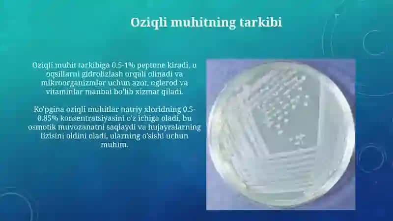 Oziqli muhitlar, ularning tasnifi 4