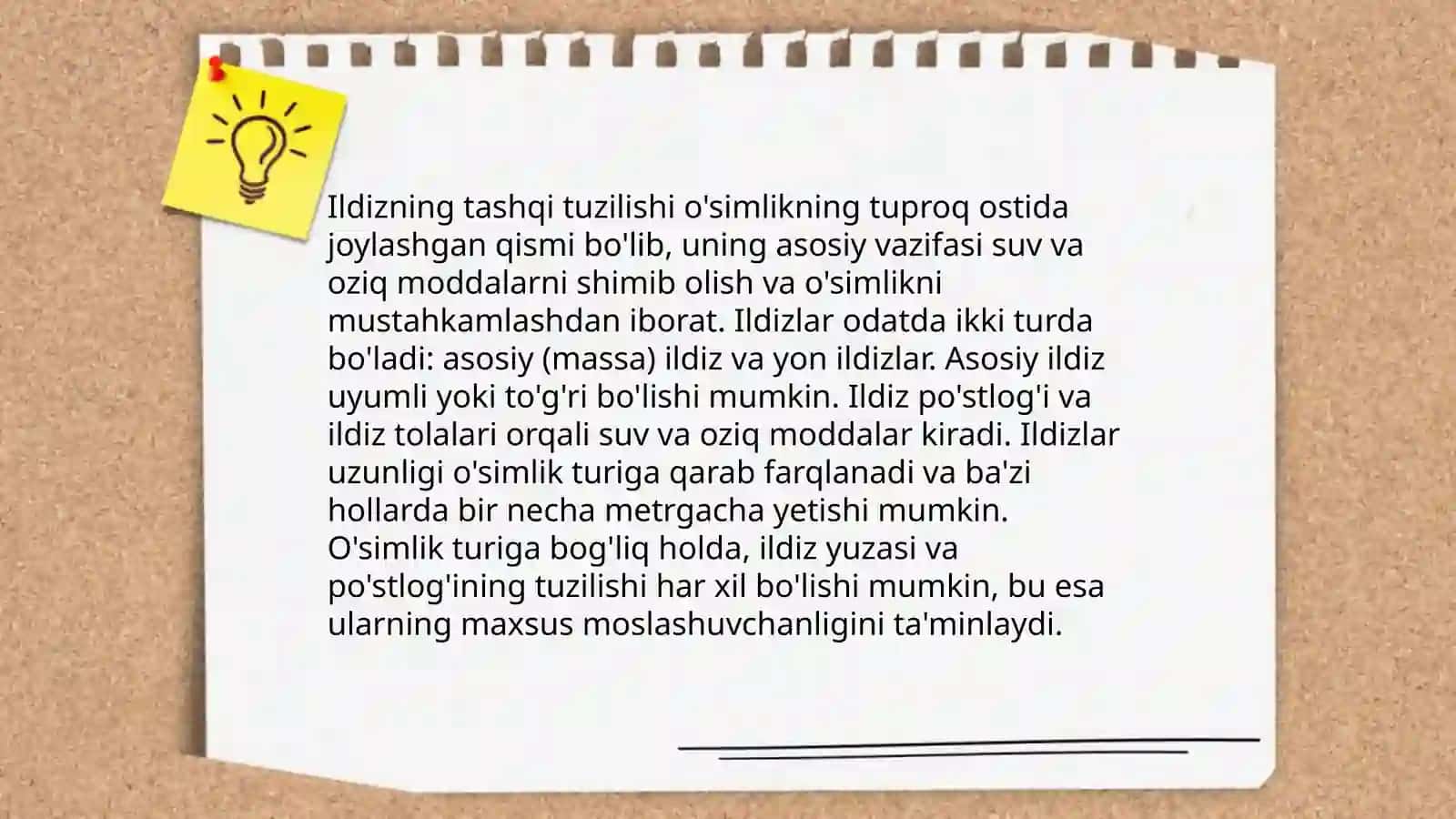 Ildiz tuzulishi turlari 4