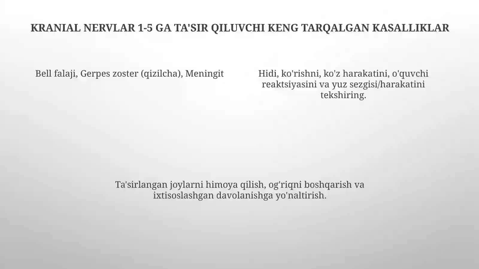 Bosh miya nervlari 4