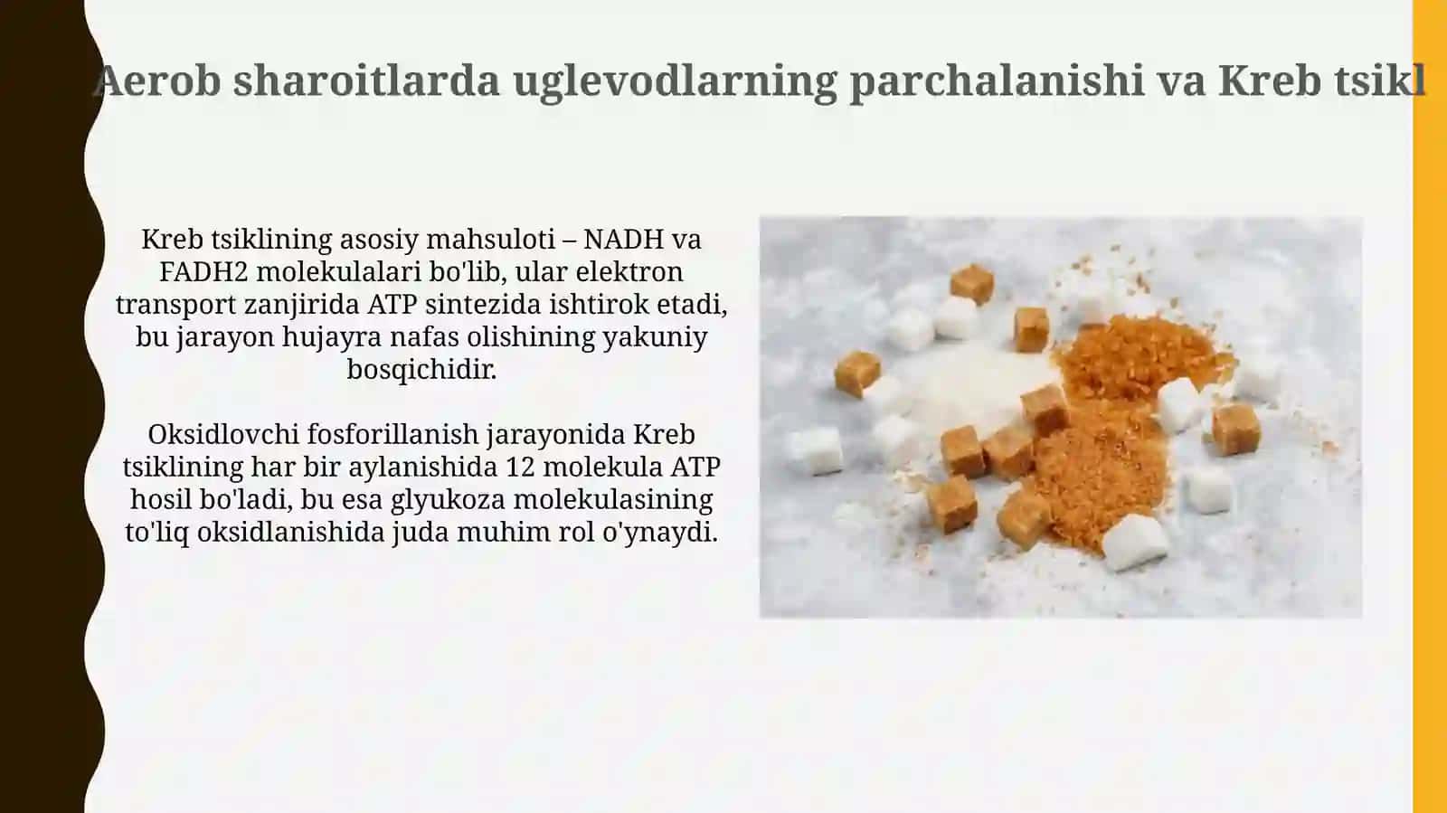 Glikoliz va glikogenliz 4