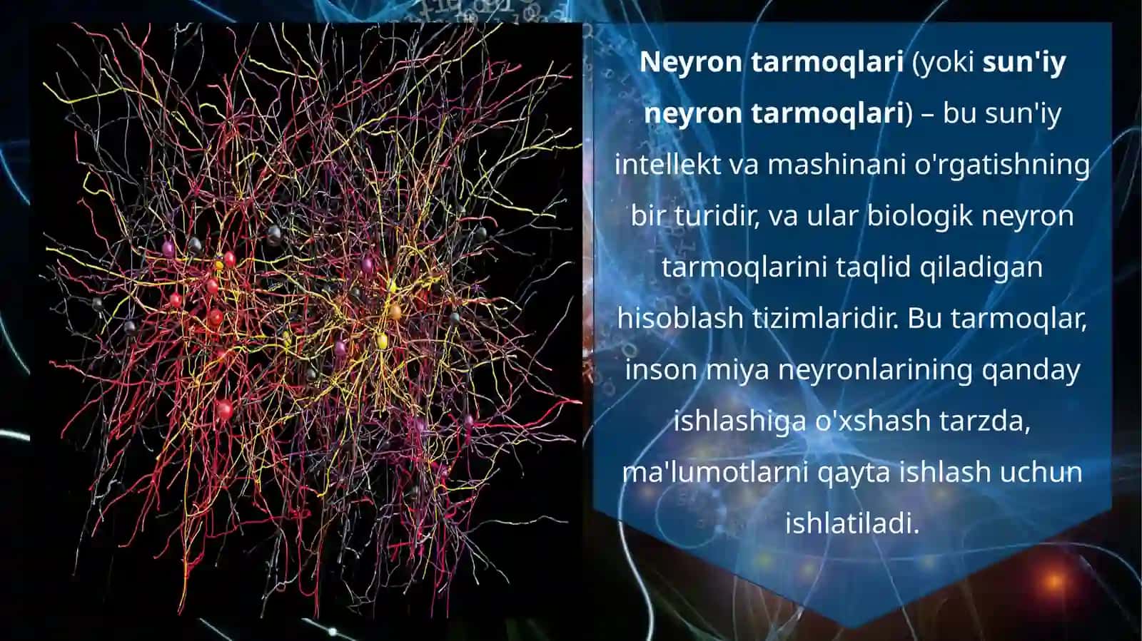 SUN’IYINTELLEKT VA NEYRON TARMOQLARI 4