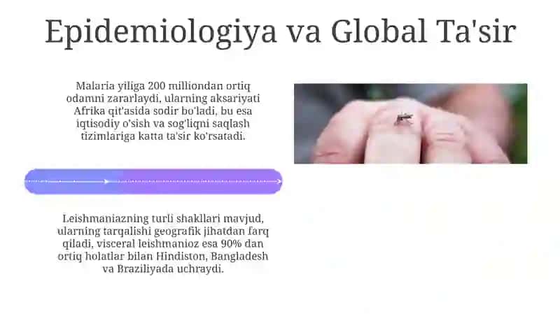 Parazitar infeksiyalar(malyariya, leyshmanioz, amebiaz) 4
