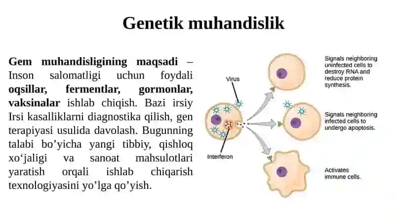 Tibbiyotbiotexnologiyasi 4