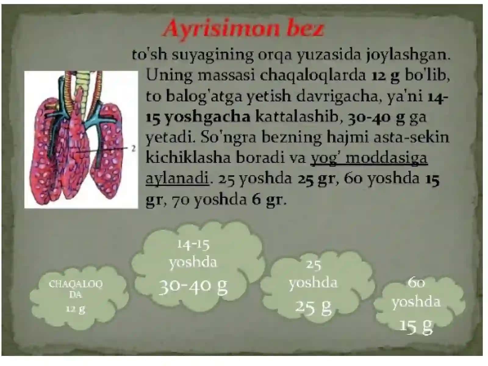 Timustuzilishi Taraqqiyoti vavazifasi 4