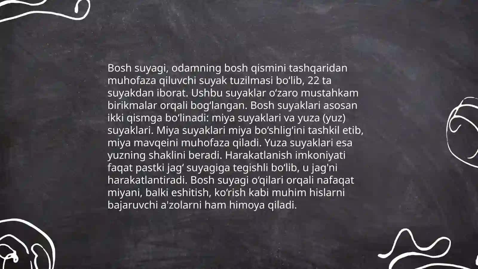 Bosh Suyagi anatomiyasi 4