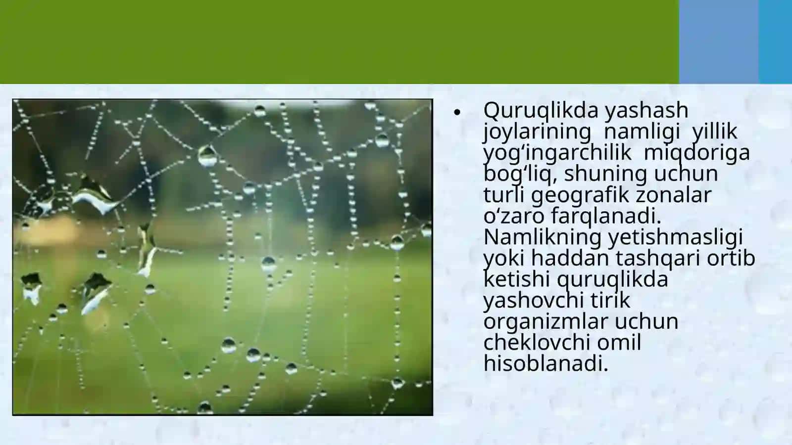Namlik ekologik omil sifatida 4