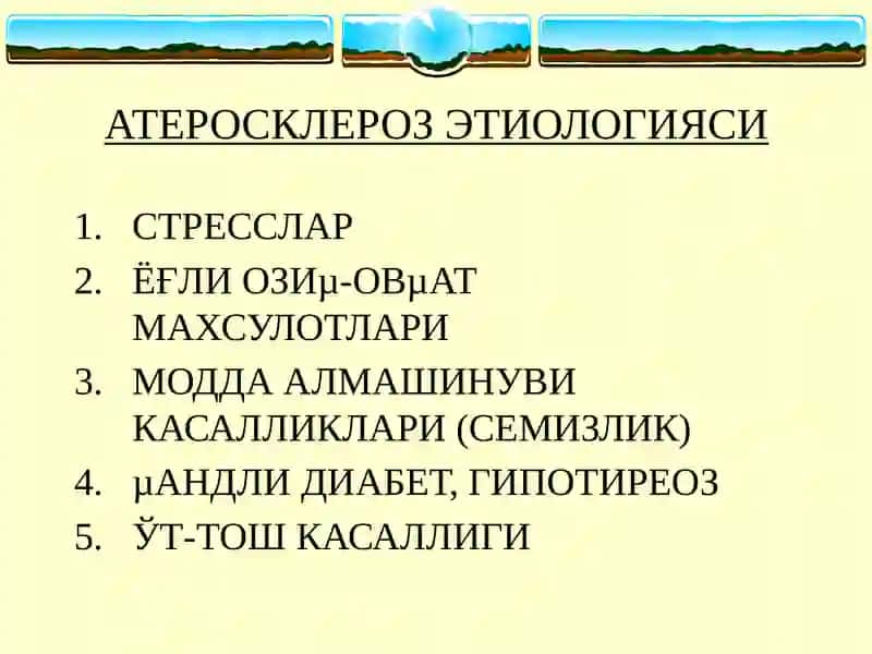 Атеросклероз 4