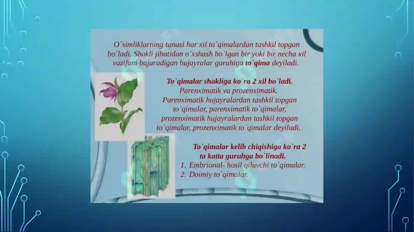 To'qimalar tuzilishi va turari 4