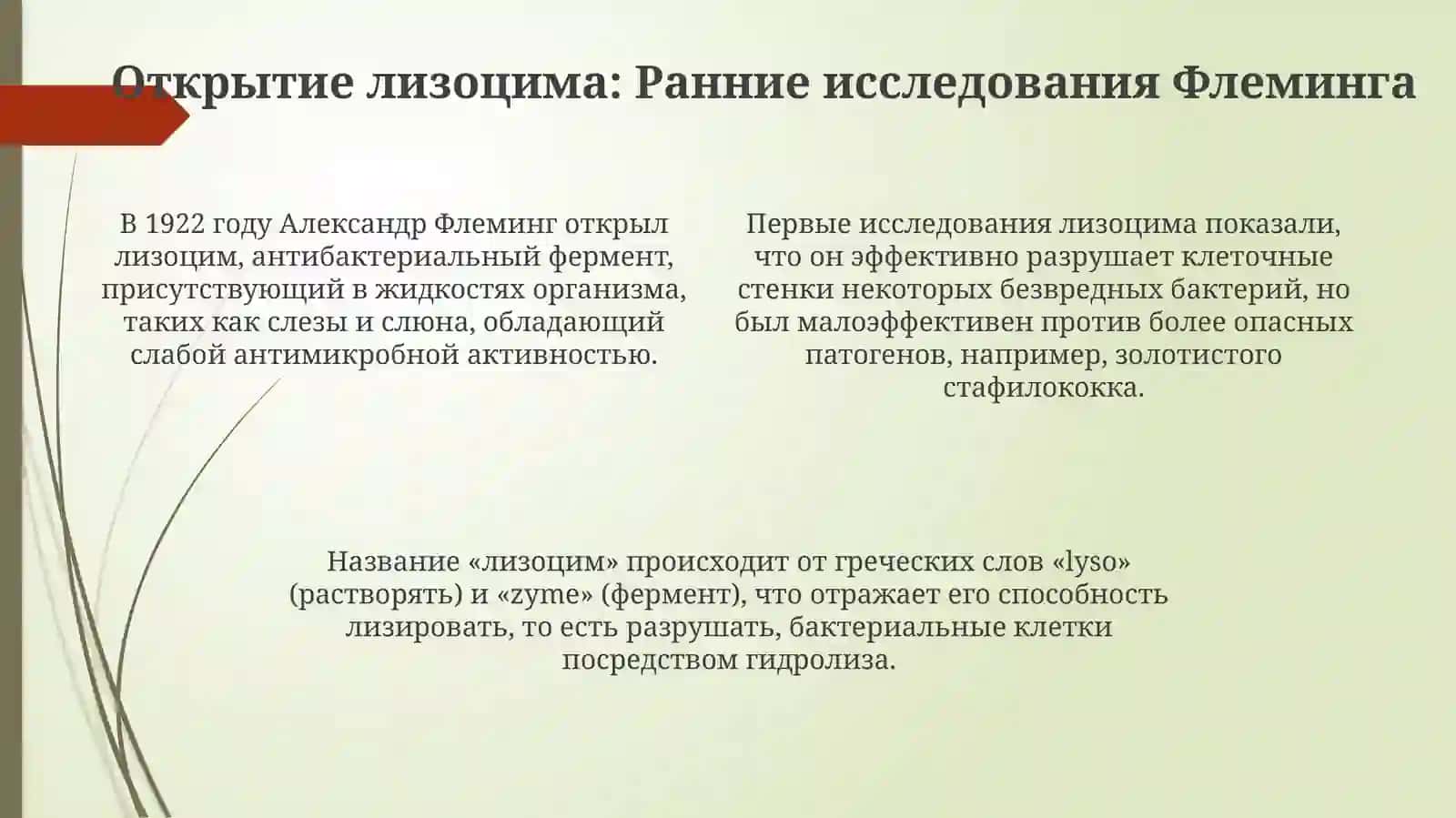 Достижения учёного Александра Флеминга 4