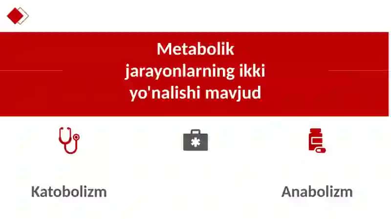 Metabolizm haqida umumiy tushunchalar, biokimyo, tibbiy kimyo 4