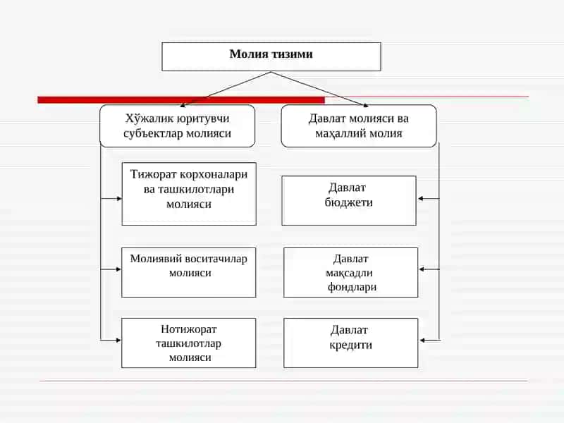 МОЛИЯ ТИЗИМИ 4