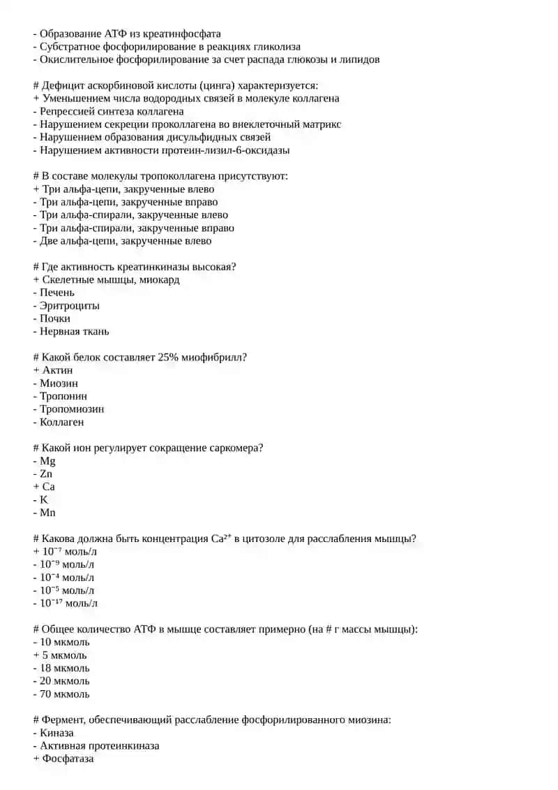 Репликация ДНК 4