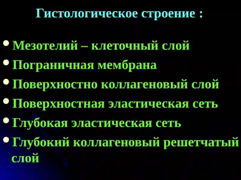 Туберкулезный плеврит 4
