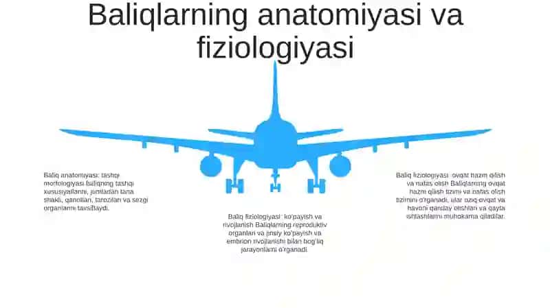 Baliqlarning Xilma-Xilligi 4