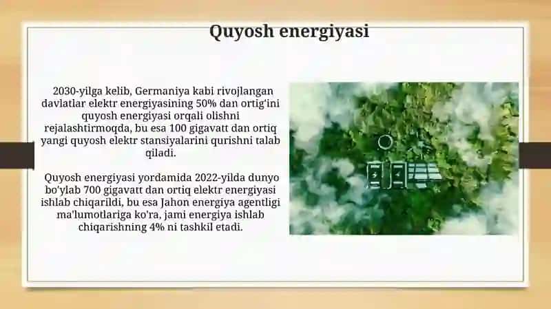 Biomassa energiyasi 4
