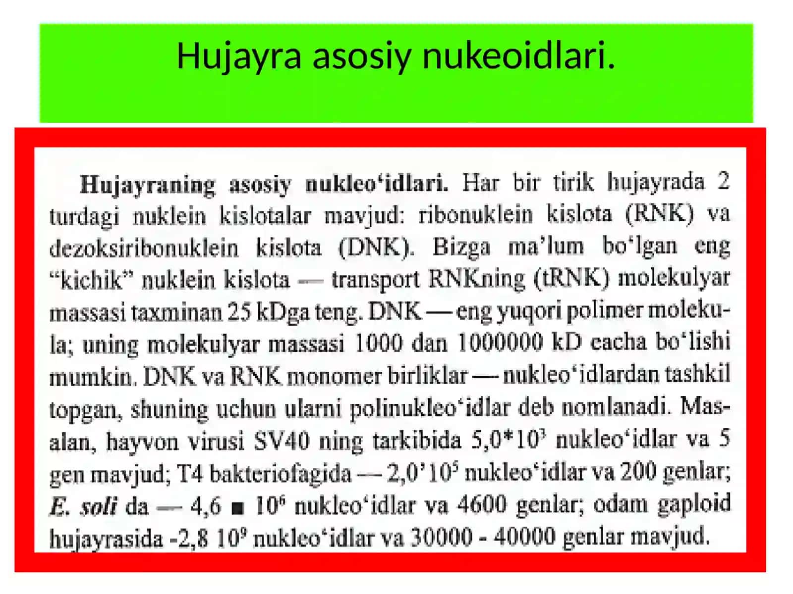 KarimxonovaFarzonaxon biokimyofanidan "Nukleinkislotalar. DNK va RNK. RNK protsessingi." mavzusidagi taqdimoti 4
