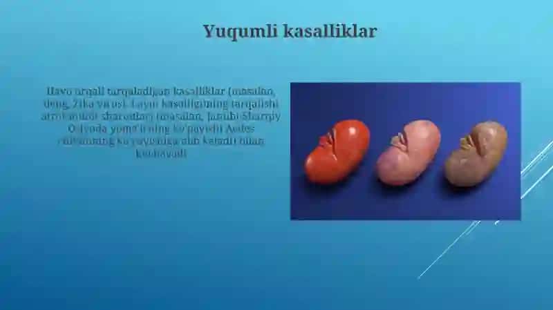 Aholi salomatligiga ta'sir etuchi omillar 4