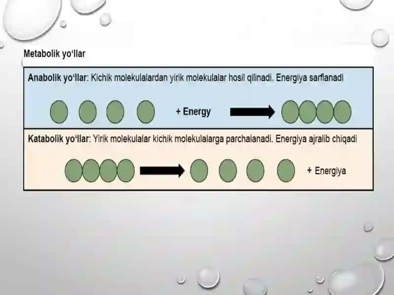 Katobalizm va anobalizm 4