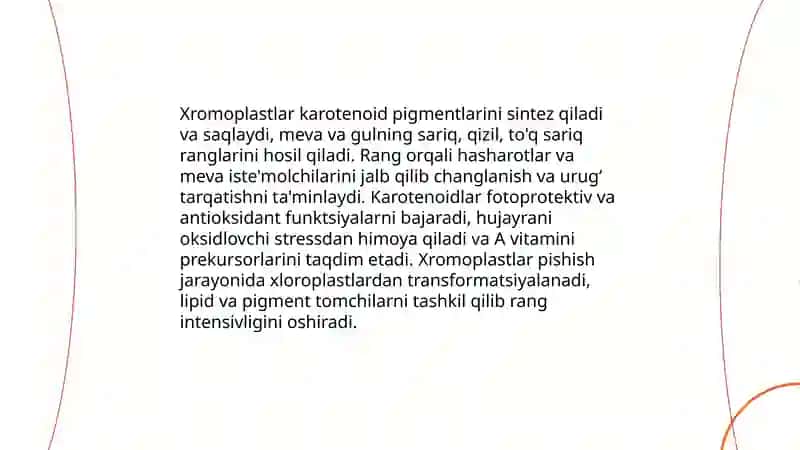 Plastida turlari va ularning vazifalari 4